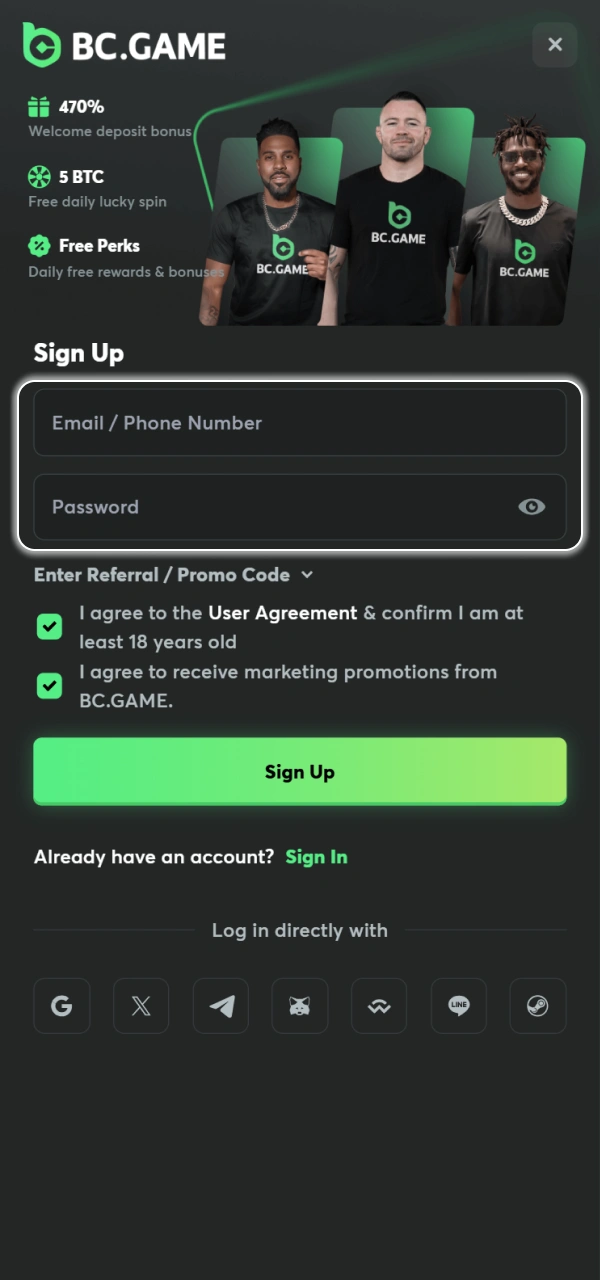 Fill in all the fields for your BC Game account.