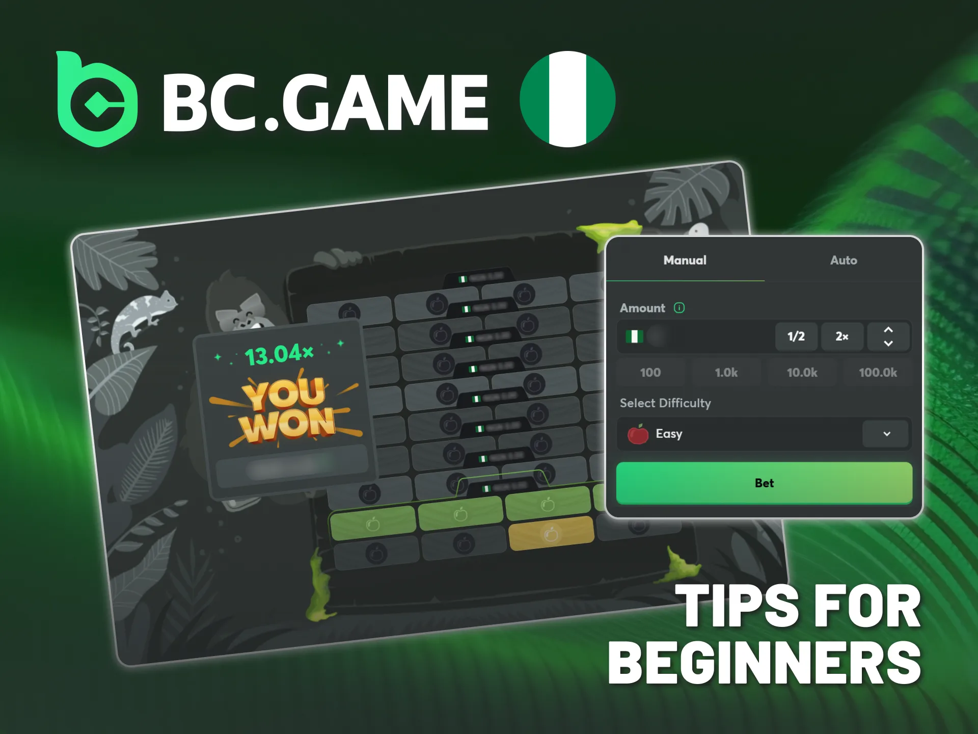 Read beginner tips before playing Tower Legend at BC Game.