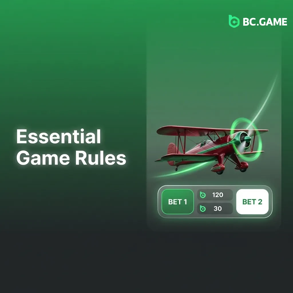 Game interface showing multiplier growth mechanics and betting rules with coefficients starting at 1.00x in aviator-style game