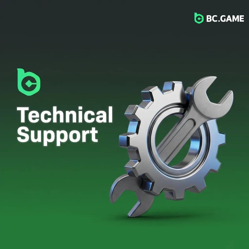Technical support team helping with platform issues, payment problems, and account access at BC.Game casino