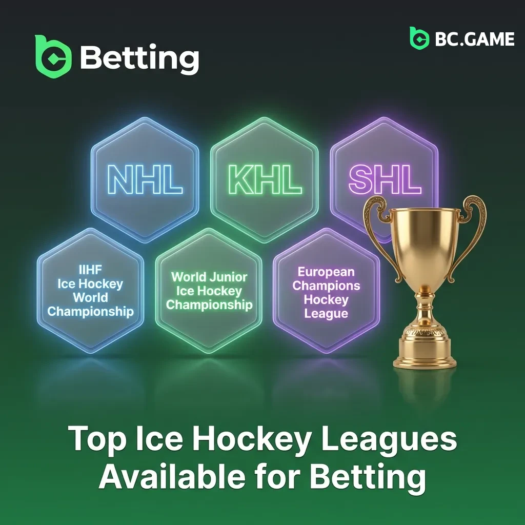 Professional ice hockey leagues including NHL, KHL, and international tournaments available for betting on BC Game platform.