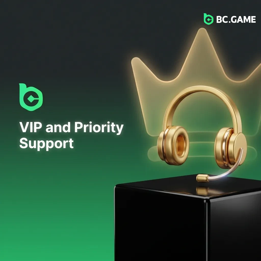 VIP members receive priority support with dedicated agents, fast response times, and direct access via chat or phone.