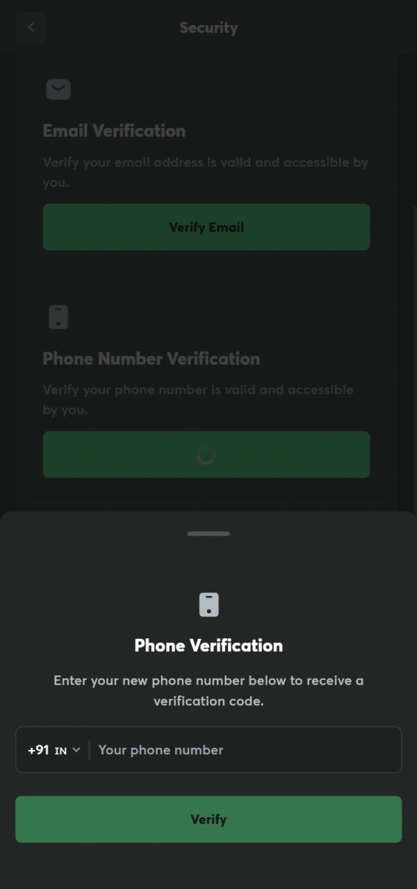 Finalize your official BC Game App Registration to place bets.
