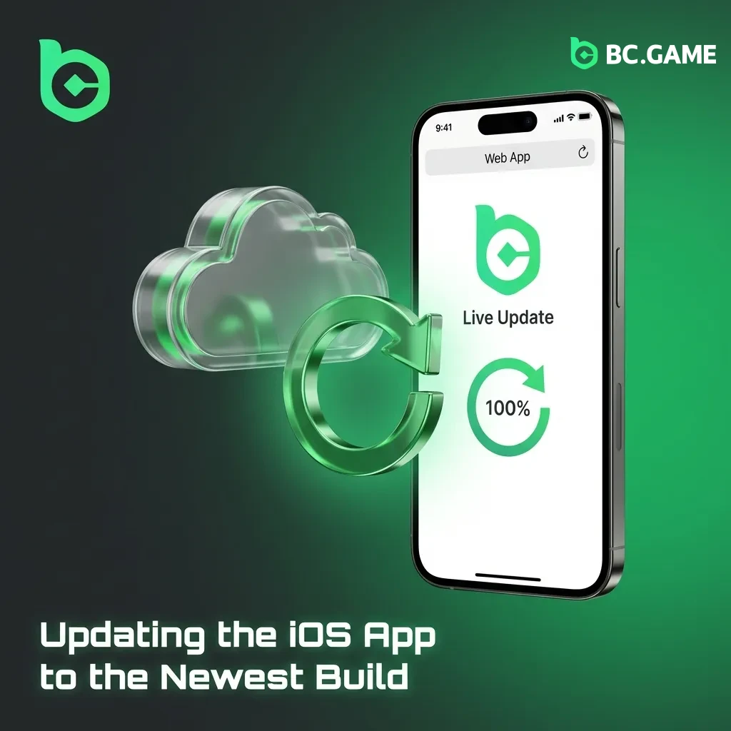 iOS app automatically updates to newest version when opened, no manual installation needed
