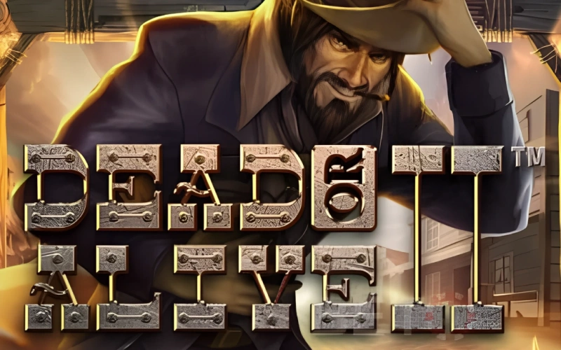 Test your luck in Dead or Alive 2 Games at BC Game.