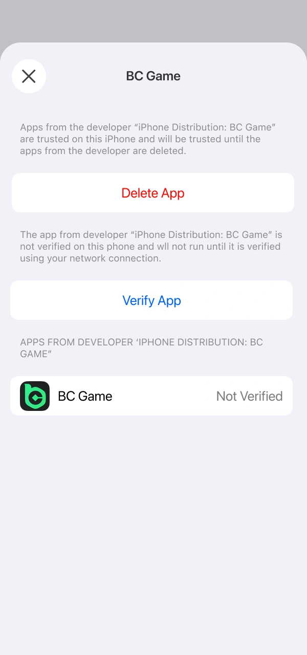 Grant permission for the BC Game iOS file to install.