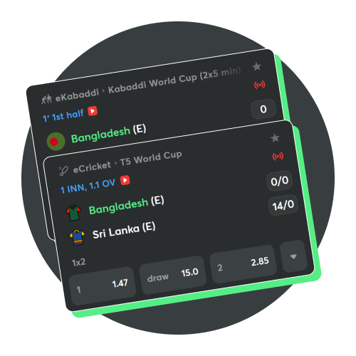 Bet on popular local sports at the BC Game Bangladesh sportsbook.