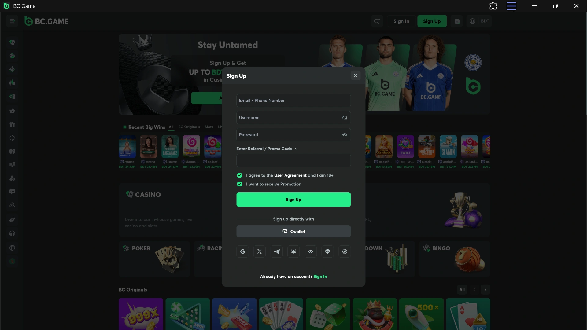 Access your Windows account via the BC Game PC client dashboard.