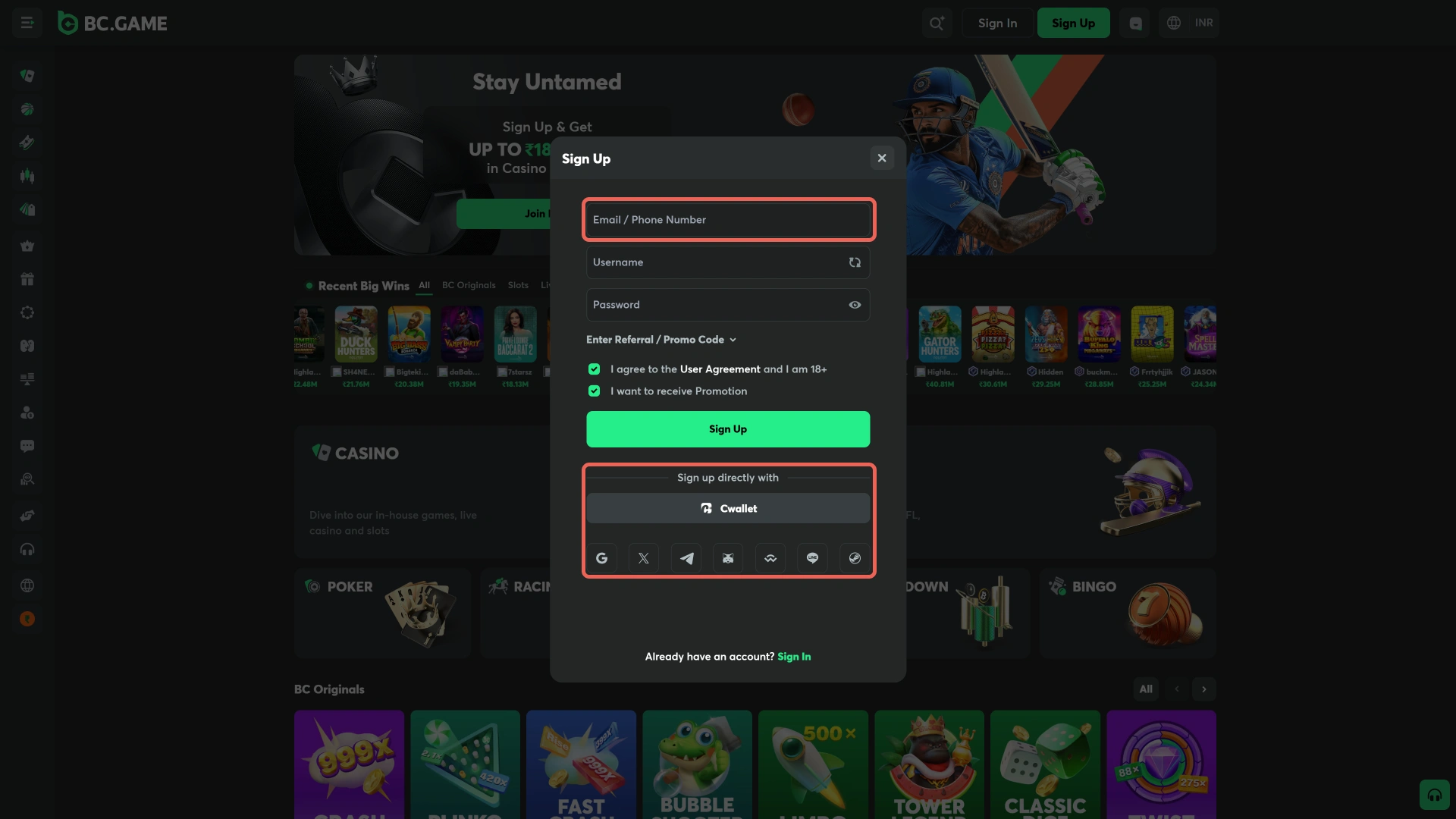 Open the account form for Betting on the BC Game PC.