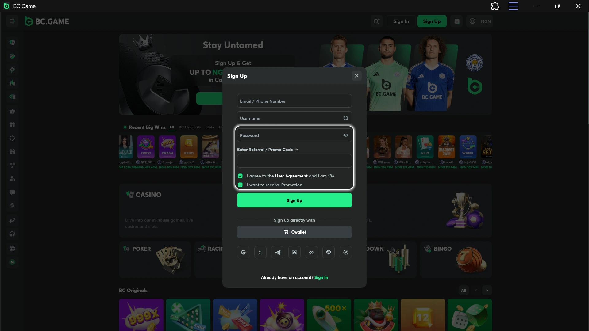 Provide your personal info to finalize the BC Game Register form.