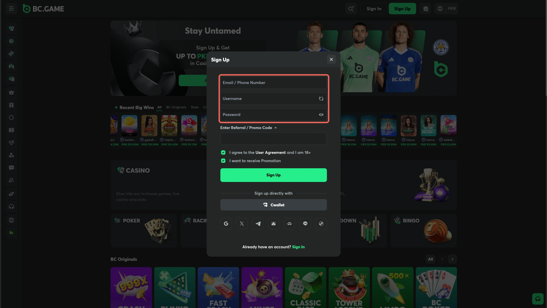 Provide personal details to enable Betting on the BC Game software.