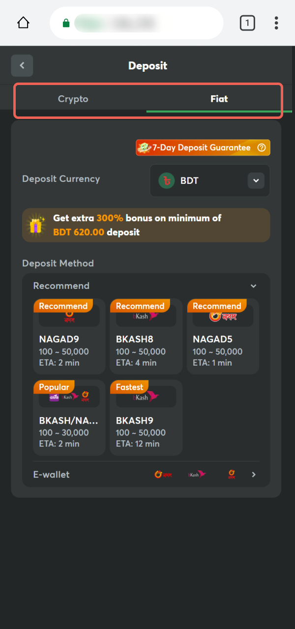 Select a deposit provider within the BC Game PWA interface.
