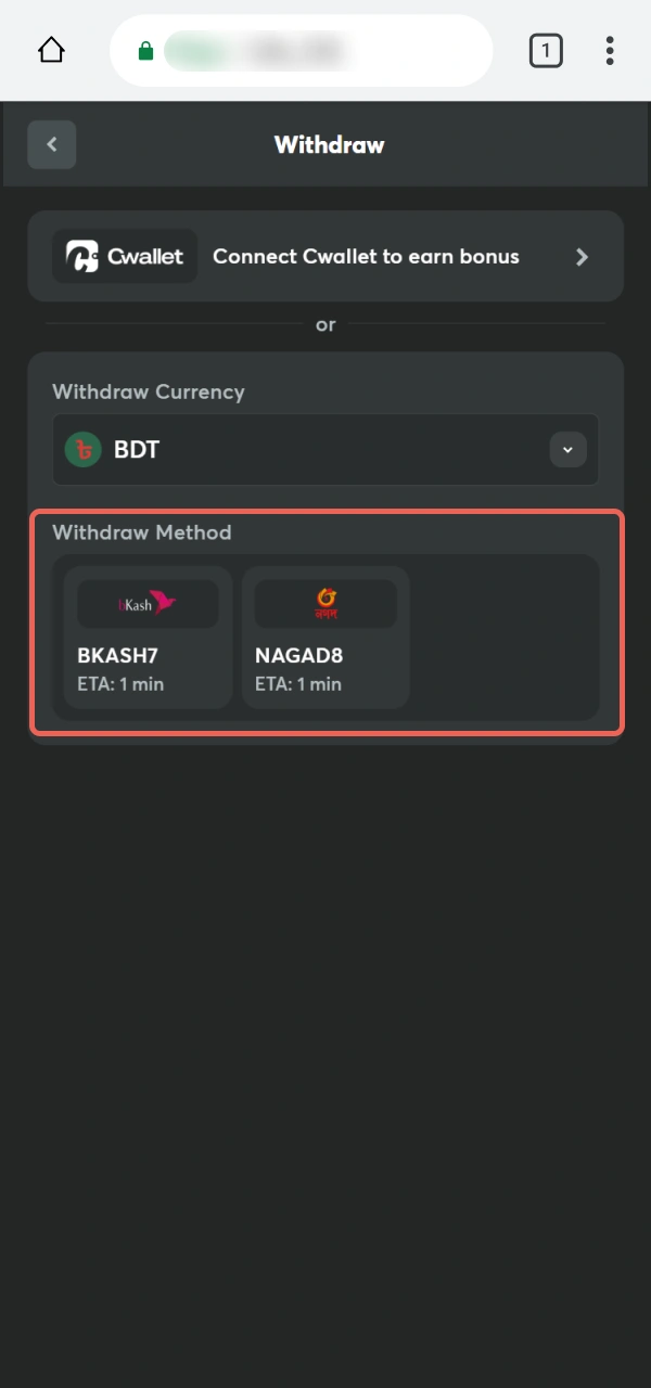 Pick a withdrawal option from the BC Game PWA list.