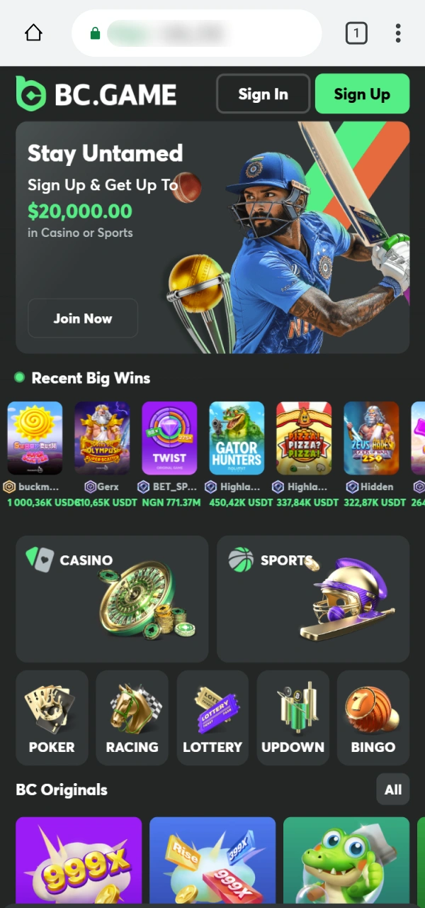 Press the button to start the BC Game Android PWA installation.