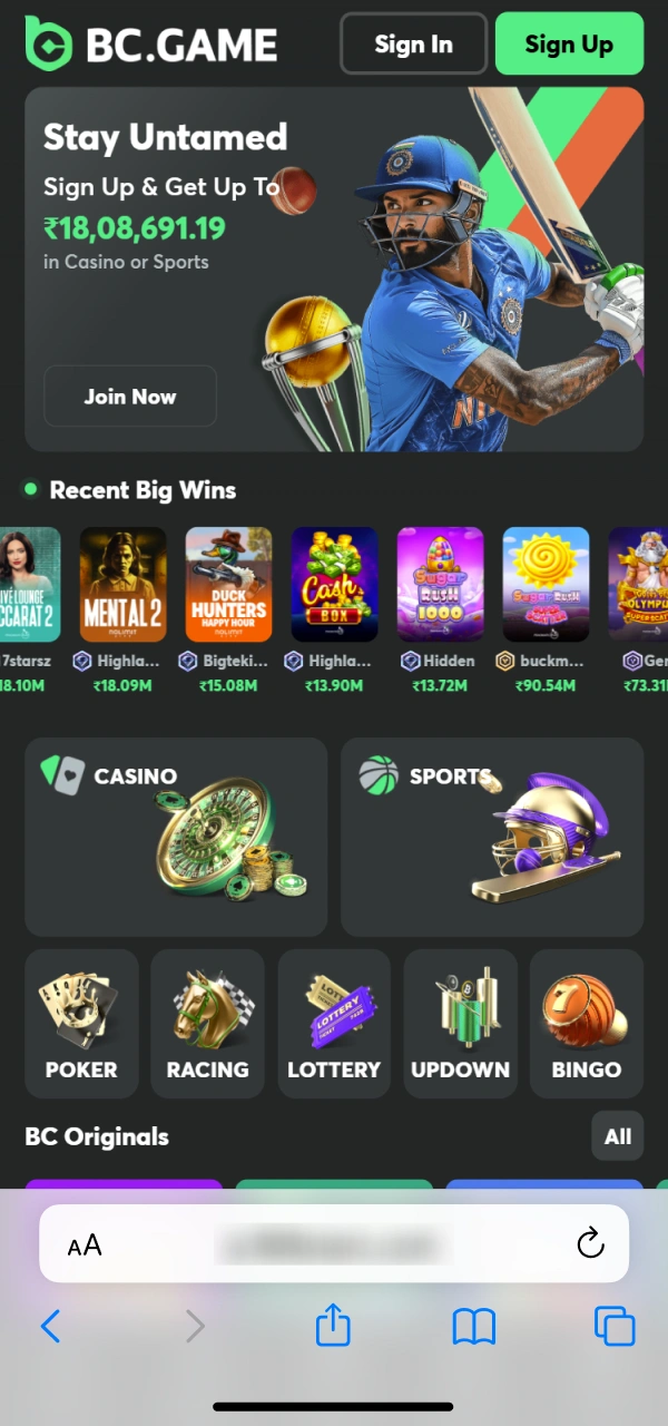 Trigger the BC Game iOS PWA addition on the official site.