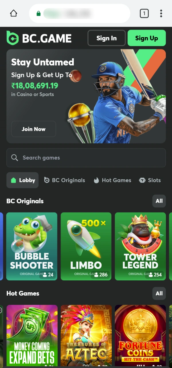 Browse the top casino games available via the BC Game PWA.