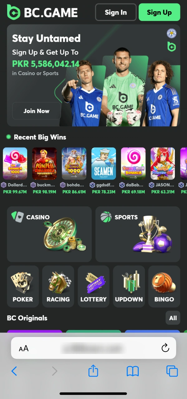 Trigger the BC Game iOS PWA addition on the official site.