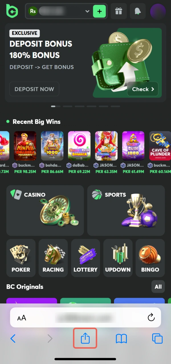 Use the browser share option to setup the BC Game iOS PWA.