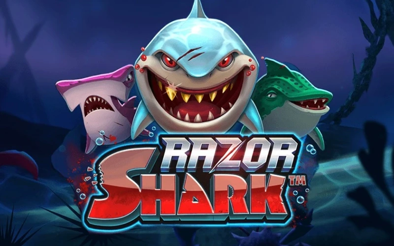 Dive deep with the Razor Shark slot at the BC Game Slots platform.