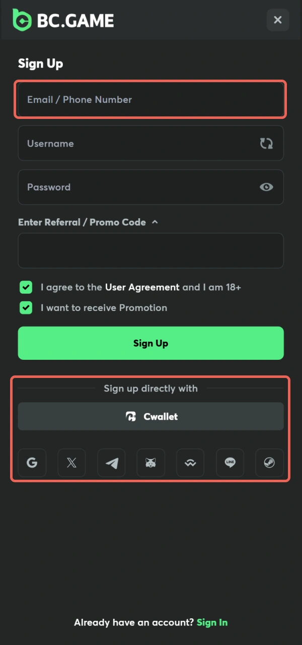 Select the most convenient way for your BC Game Registration process.