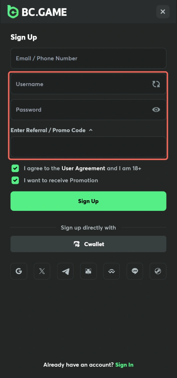 Provide your personal info for BC Game Registration to create an account.