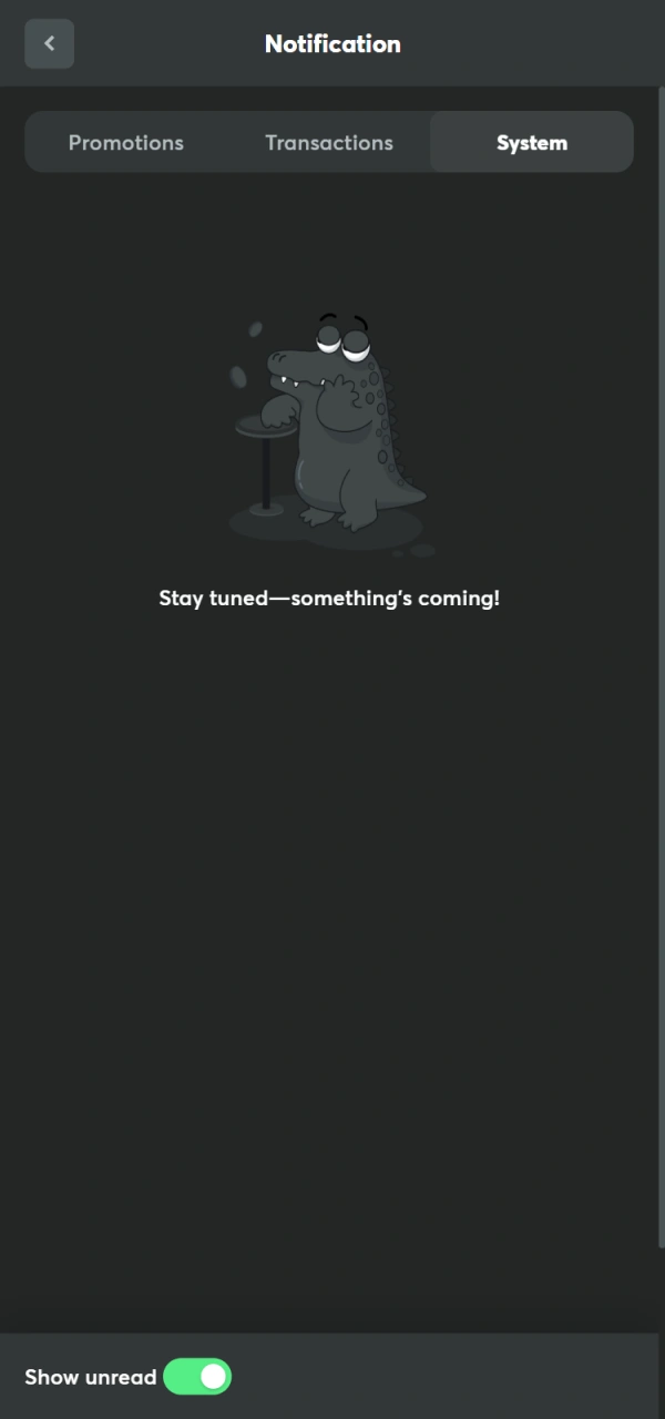 Wait for the team to confirm your BC Game Verification status.