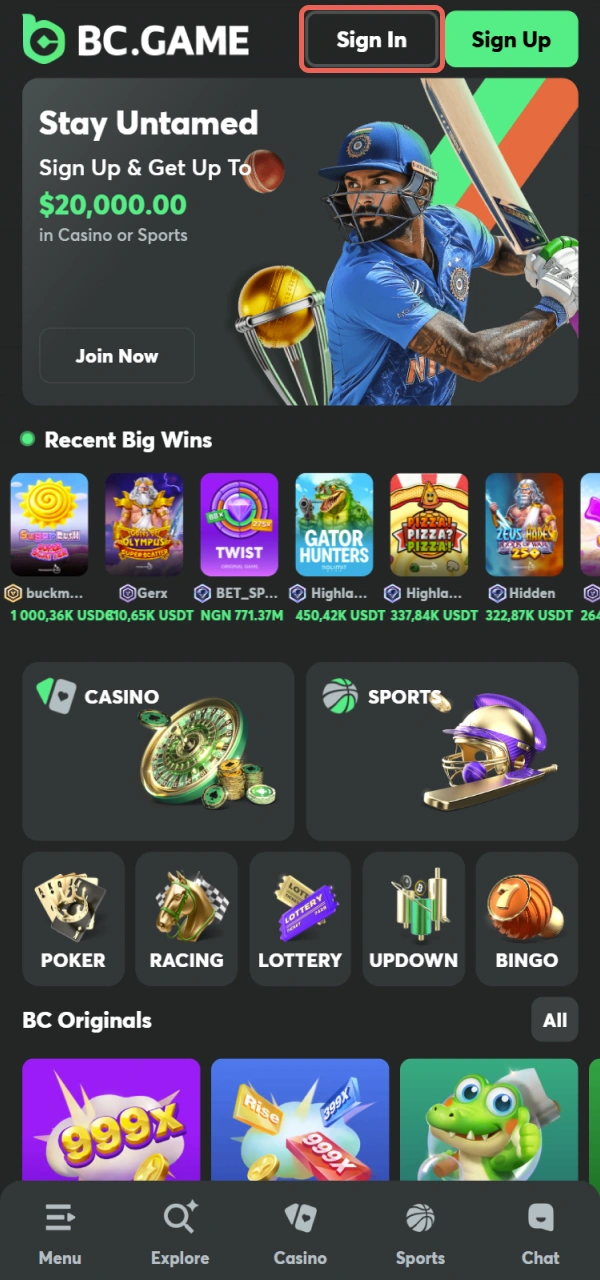 Navigate to the official Log In section of the BC Game site.