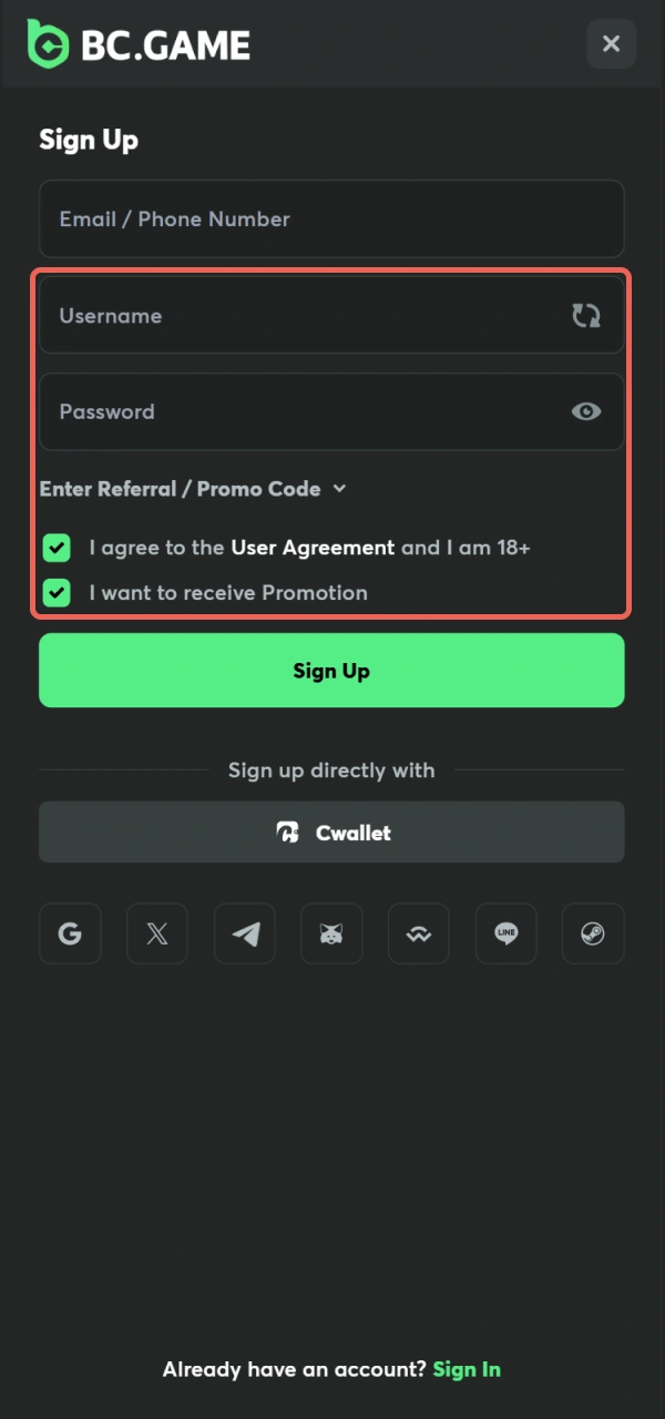 Enter your personal data to Sign Up on the BC Game site.