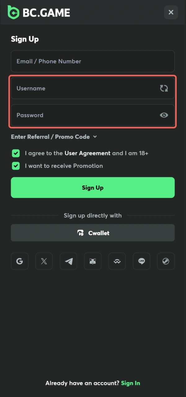 Enter your personal data to Sign Up on the BC Game platform.