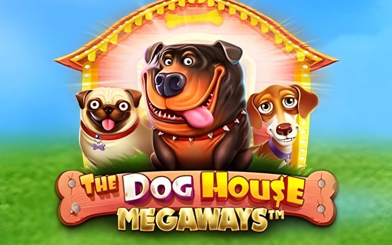 Play The Dog House Megaways slot at BC Game Slots for big wins.